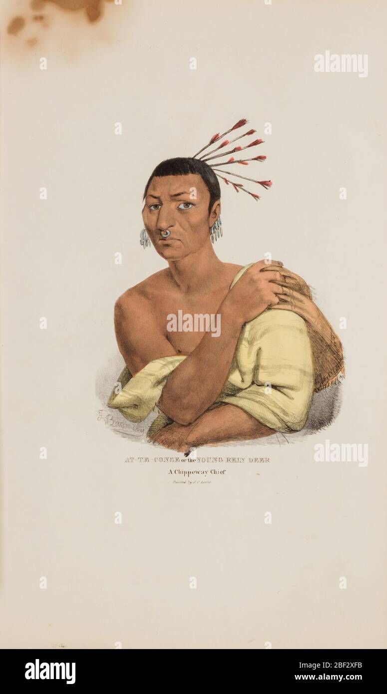 ATTECONSE o il giovane cervo reino Chief Chippeway del portafoglio aborigeno. Foto Stock