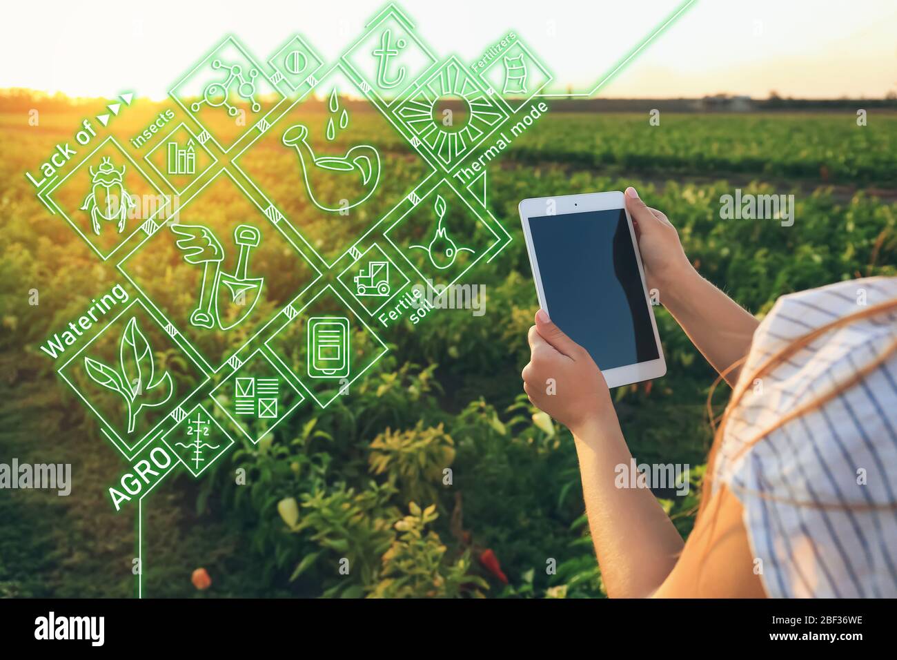 Donne agricole che utilizzano l'applicazione iot mentre lavorano sul campo. Agricoltura intelligente e agricoltura digitale Foto Stock