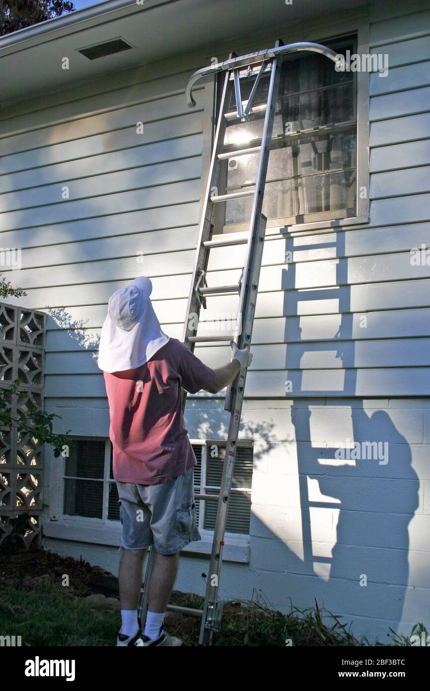 Un pittore di casa mette la sua scala contro un esterno di casa per continuare a dipingere presto su una mattina di autunno soleggiata Foto Stock