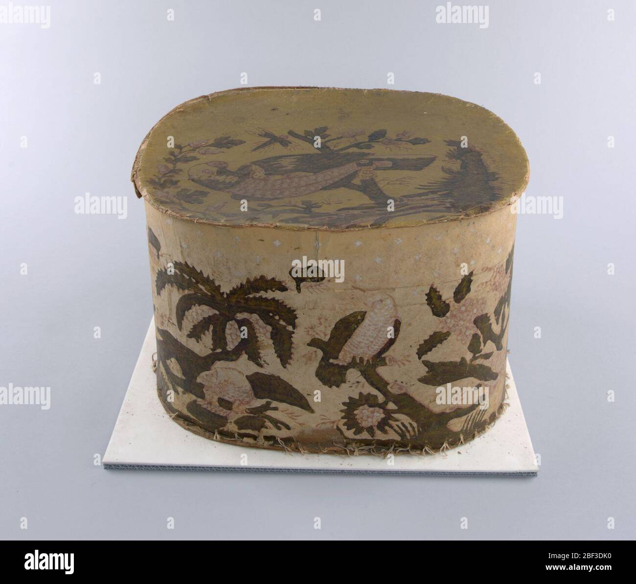 Bandbox e coperchio. Fogliame molto esotico, simile a palme, con pappagalli e libellule di grandi dimensioni. La parte superiore della casella contiene un motivo di stelle bianche. Stampato in rosa e verde verniciato su un terreno giallo. Molto sbiadito. Foto Stock