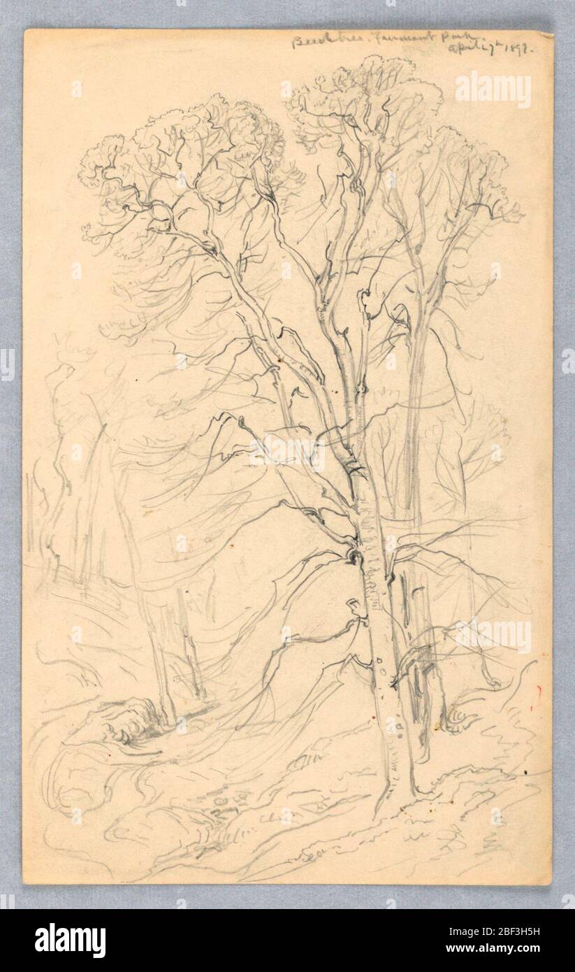 Schizzi alberi. Rettangolo verticale. Obverse: Un bosco con un faggio in primo piano su terreno collinare. Invertito, orizzontale: Alberi ai margini del bosco sono mostrati a sinistra, una collina con un prato e un gruppo di alberi sullo sfondo, a destra. Foto Stock
