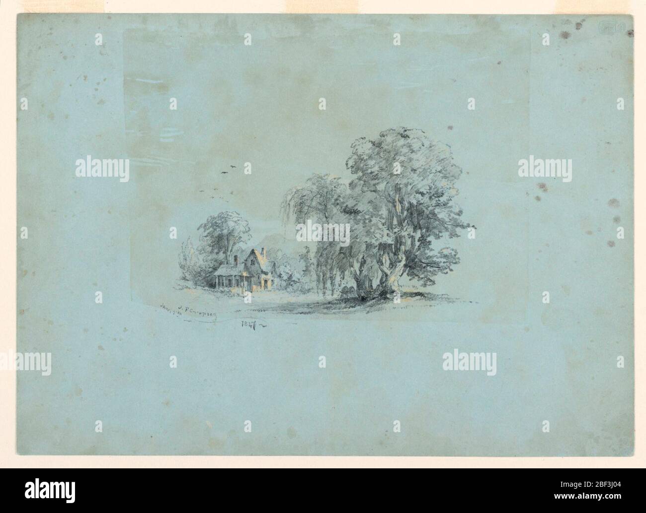 Scenario paese. Vista di una casa di campagna in stile gotico-revival a sinistra con un grande albero salice in primo piano a destra. Foto Stock