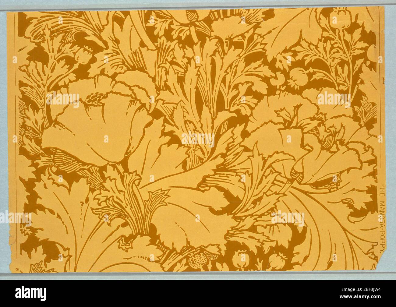Il ManoraPoppy. Design Art Nouveau con papaveri su larga scala con fogliame e cialde. Stampato in verde ocra su carta ocra. Foto Stock