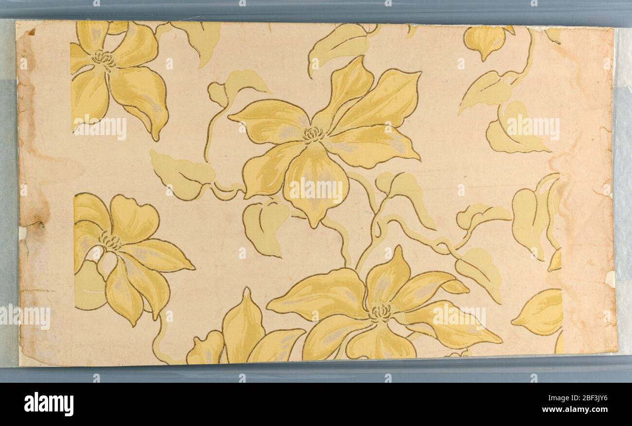 Parete laterale. Motivi floreali, grandi fiori in scala con grandi petali in giallo pastello cromato e verde salvia, sfumature molto delicate, su campo avorio. Fiori e foglie delineati in dorato. No. 1939-33-46 è il bordo di questa carta da parati. Foto Stock