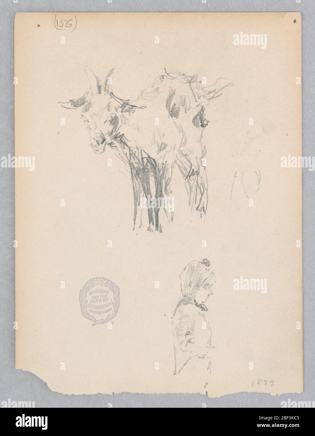 Capra. Schizzo di una capra. Foto Stock