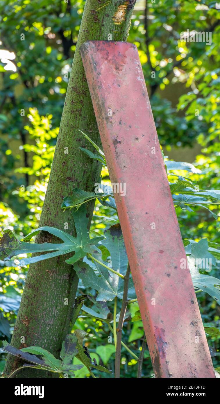 Una barra metallica supporta il peso di un'immagine ad albero in formato orizzontale Foto Stock