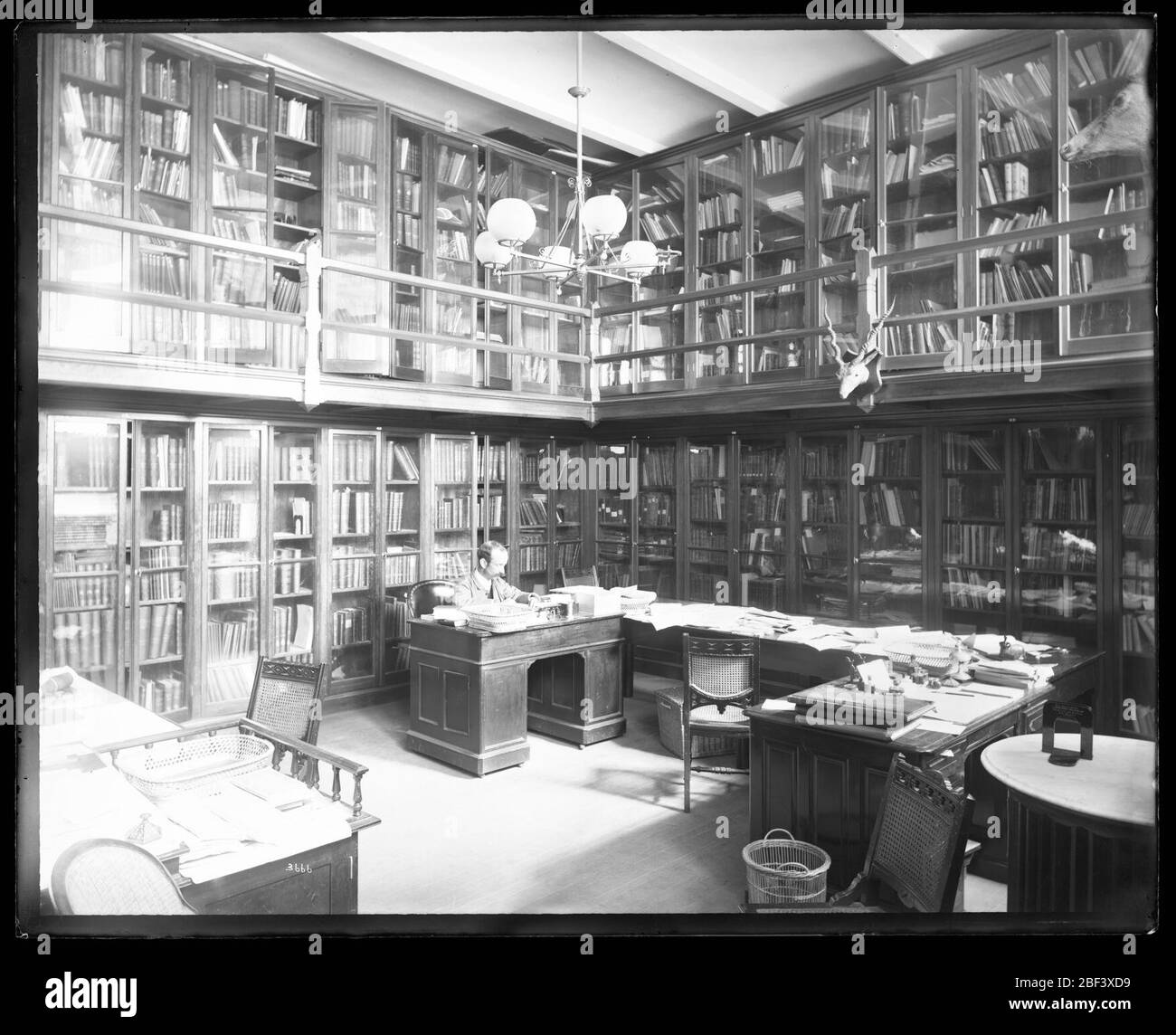 Biblioteca del Museo Nazionale degli Stati Uniti. Nota anche come 3666.Vedi anche unità di registrazione 95, Box 32, Folder 18.Library, più tardi conosciuta come la Jewett Room, nel padiglione nord-occidentale del Museo Nazionale degli Stati Uniti, ora noto come l'edificio delle Arti e delle Industrie, con il bibliotecario John Murdoch seduto alla desk.Smithsonian Institution Foto Stock