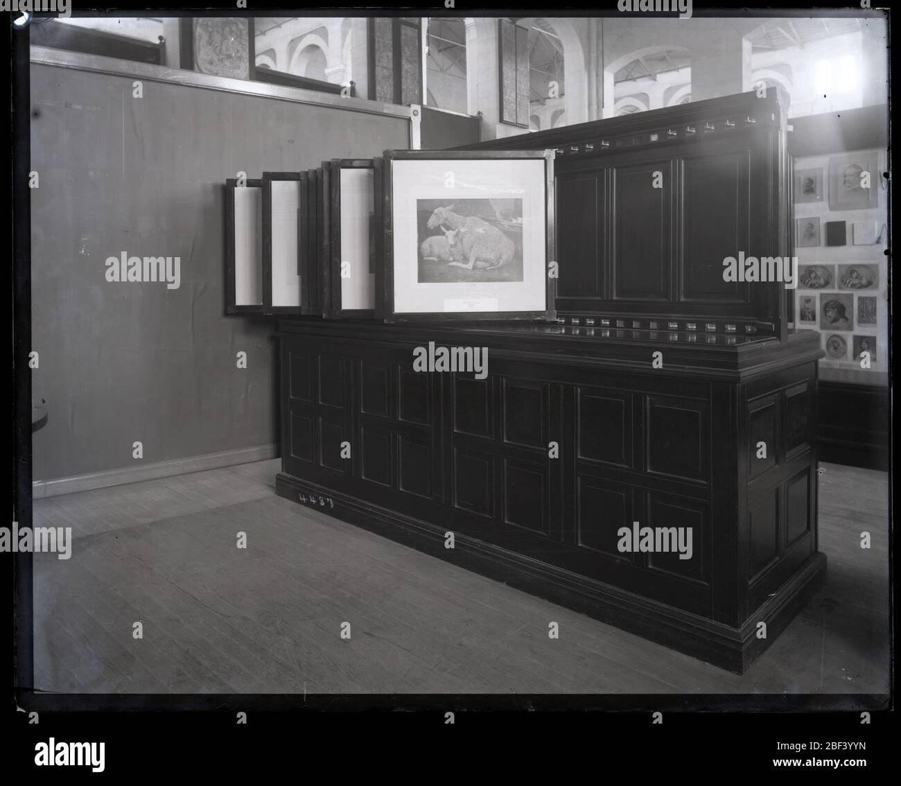 Mostre di arti grafiche. Nota anche come 4487.Vedi anche unità di registrazione 95, Box 42, cartella 22.Exhibit caso nel Museo Nazionale degli Stati Uniti, ora noto come l'edificio delle Arti e delle Industrie, con Graphic Arts Materials.Smithsonian Institution Archives, ACC. 11-007, riquadro 020, immagine n. Foto Stock