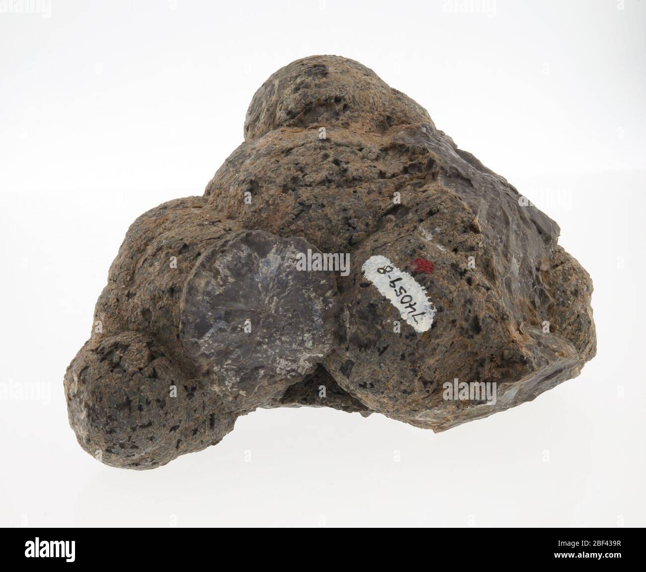 Riolite. 14 Mar 20199 Foto Stock