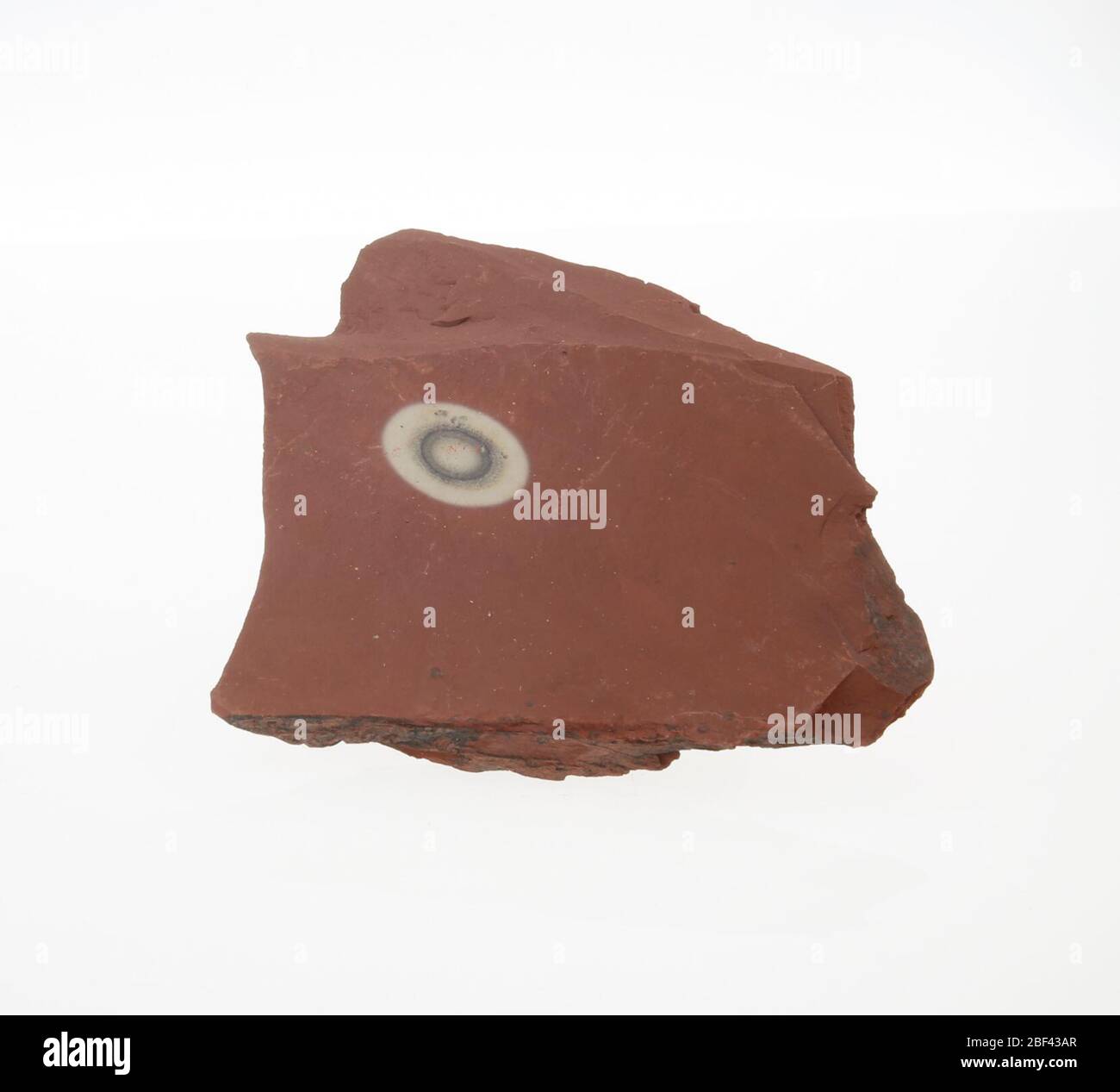 Scisto. Triassic14 Mar 20198 Foto Stock