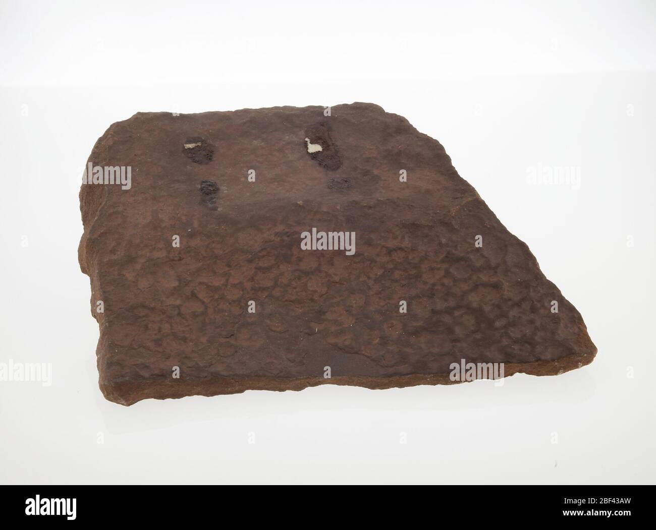 Arenaria. Triassic14 Mar 201948317251 Foto Stock