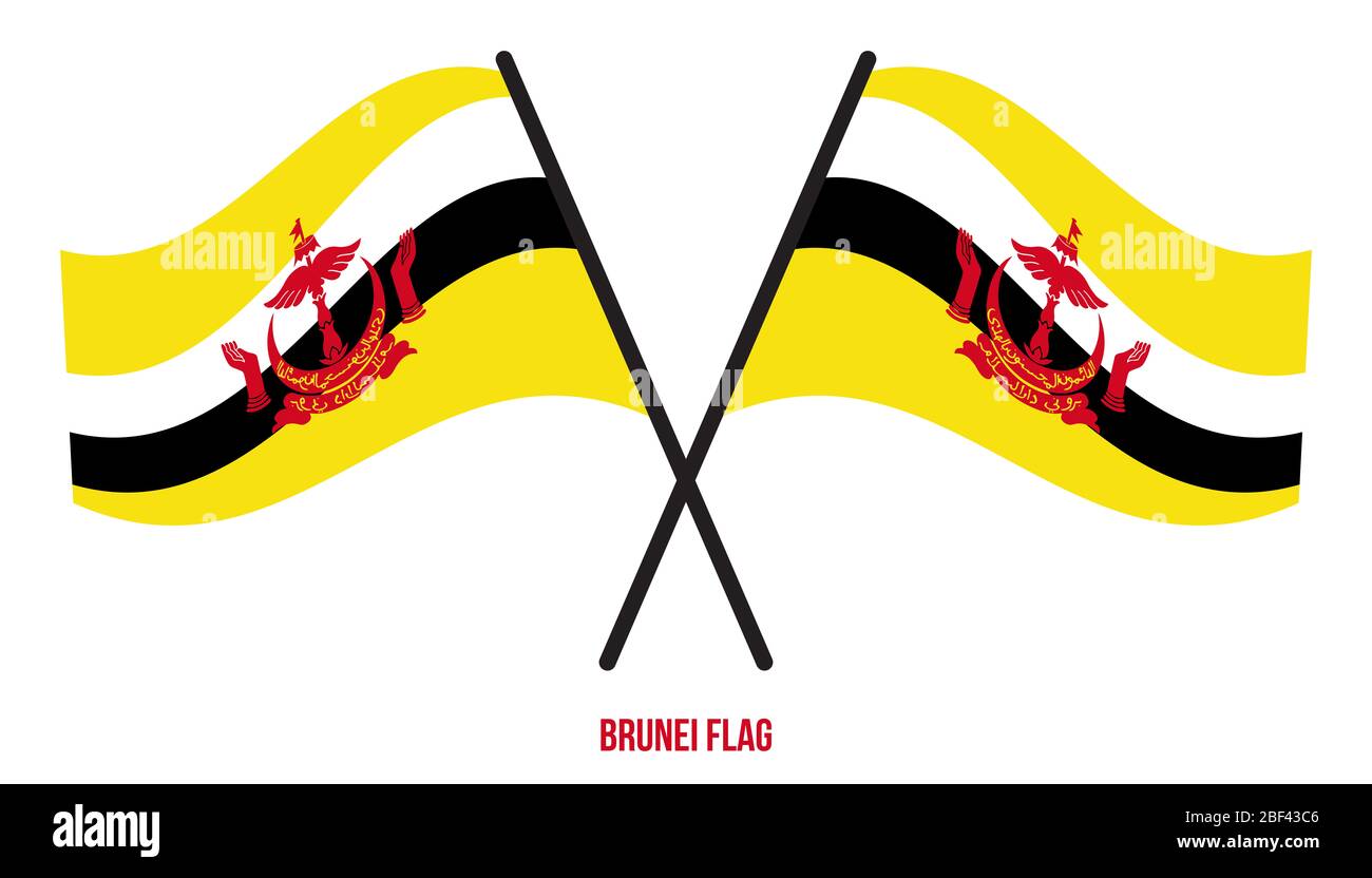 Due Bandiera Brunei ondeggiante incrociata su isolato sfondo bianco. Illustrazione del vettore di Bandiera Brunei. Foto Stock
