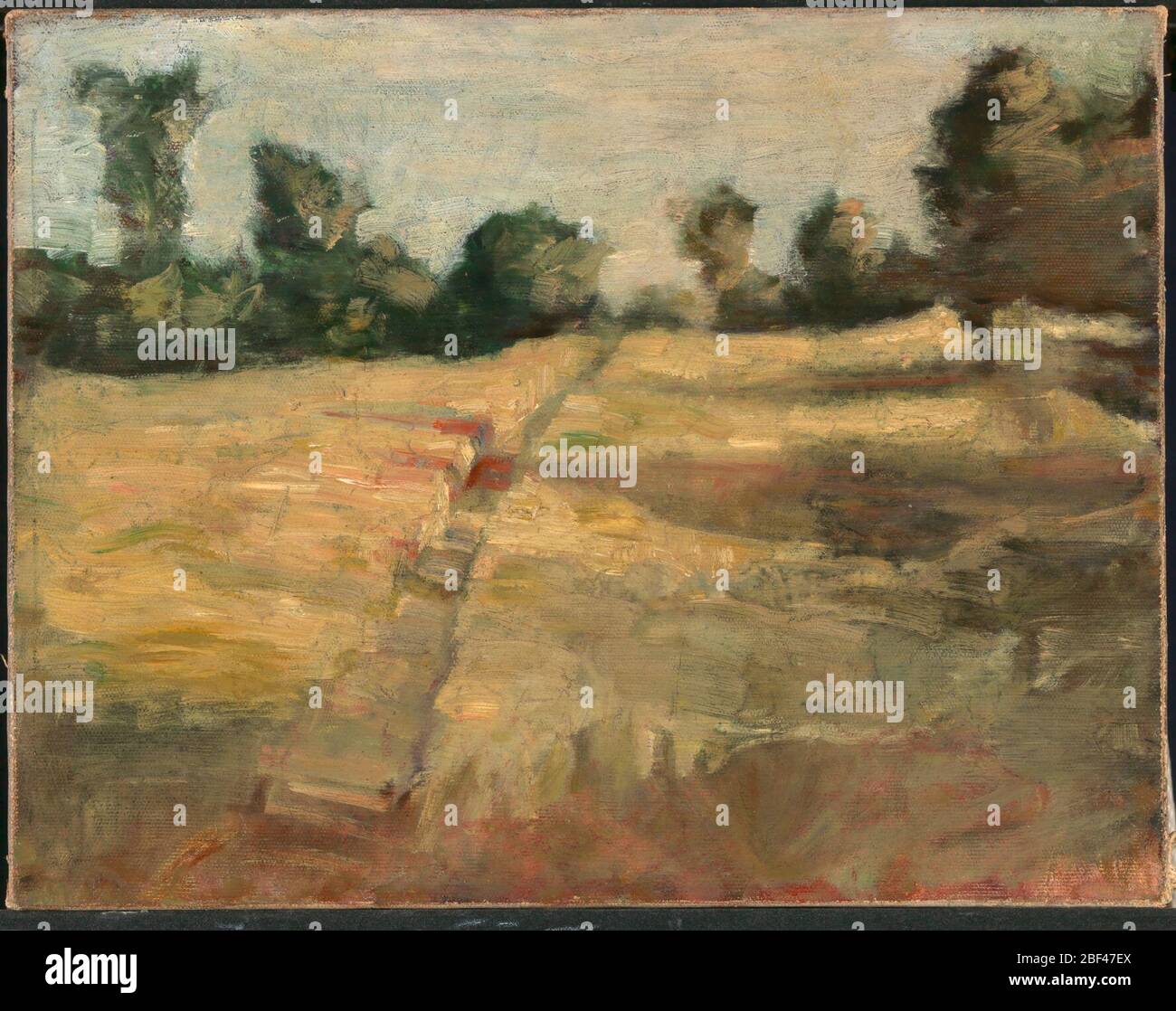 Il campo. Foto Stock