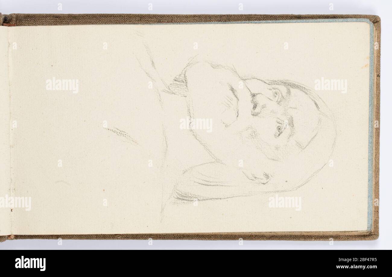 Pagina del libro di pattino Ritratto di un uomo con una barba. Ritratto di un uomo con barba e capelli diritti, a spalla, guardando verso sinistra. Foto Stock Pagina del libro di pattino Ritratto di un uomo con una barba. Ritratto di un uomo con barba e capelli diritti, a spalla, guardando verso sinistra. Foto Stock