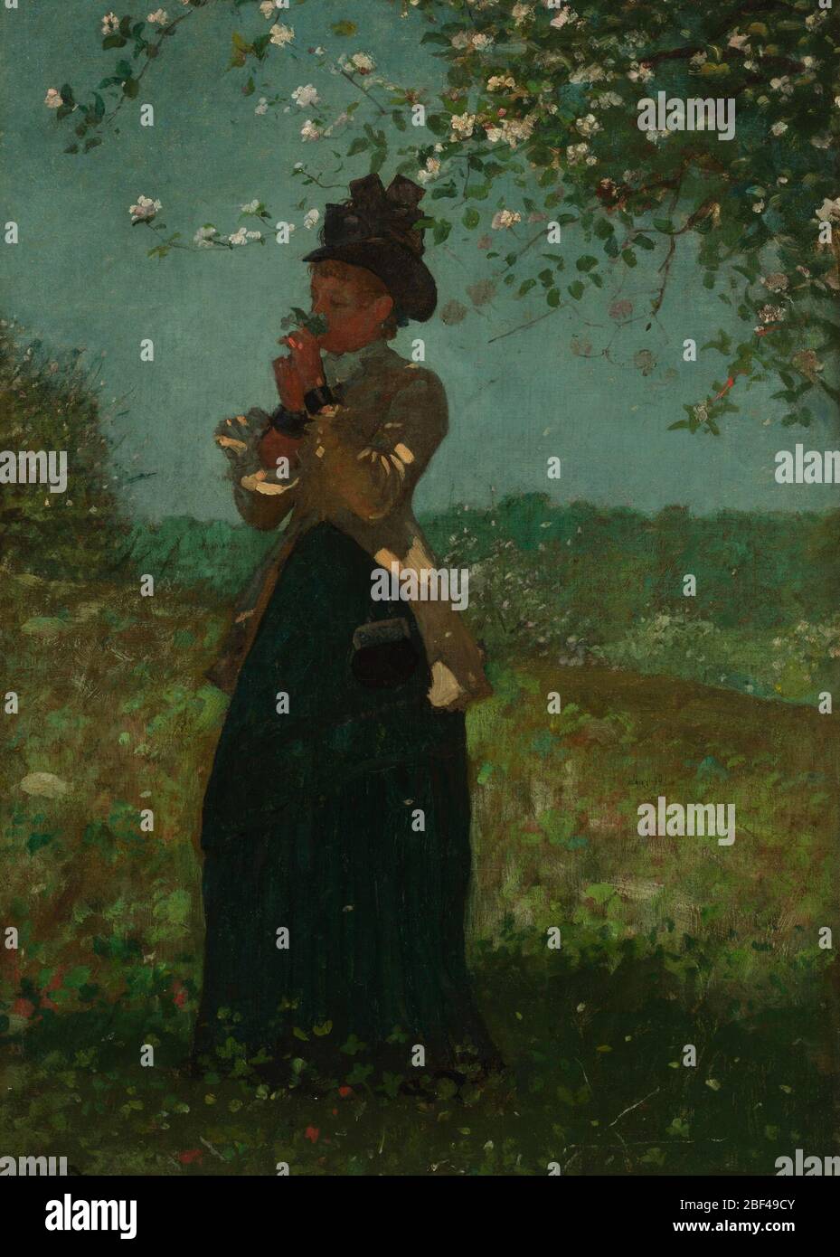 La giacca gialla. Vista verticale di una giovane donna, vestita con gonna blu, giacca gialla, giabota bianca e cappello nero, che si trova sotto un ramo di un albero di mele in fiore e che odora un grappolo di fiori. Oltre, a sinistra, un altro albero in fiore; boschi in distanza. Foto Stock