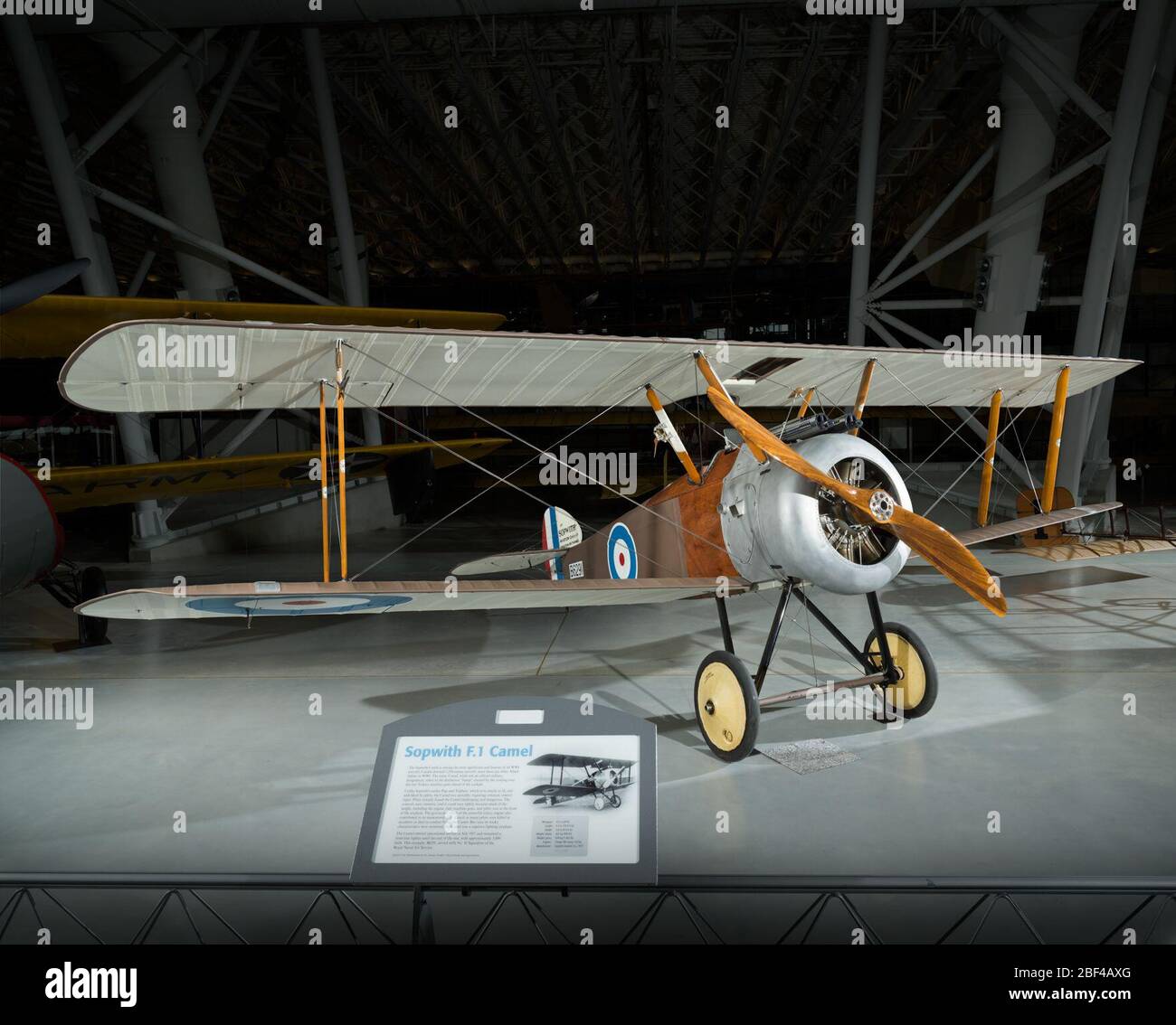Sopwith F1 Camel. Caccia biplano WWI a motore singolo, monoposto, con 130 cv Clerget 9B Rotary.Sopwith Camel è tra i più significativi e famosi di tutti gli aerei WWI. I cammelli hanno abbattuto 1,294 velivoli nemici, più di qualsiasi altro combattente alleato nella prima guerra mondiale. Foto Stock