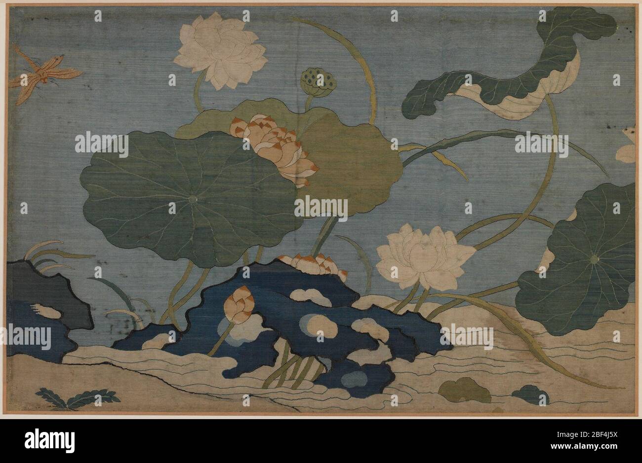 Dragonfly e piante di loto. Pang Yuanji (1864-1949) Foto Stock