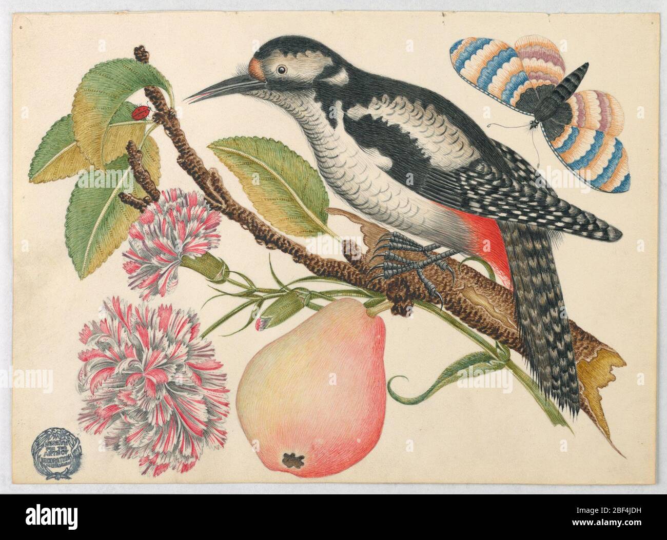 Uccello farfalla e Par. Uccello arroccato su ramo che porta una pera, fiori rossi e bianchi, e foglie con un ladybug. Farfalla nell'angolo superiore destro. Foto Stock