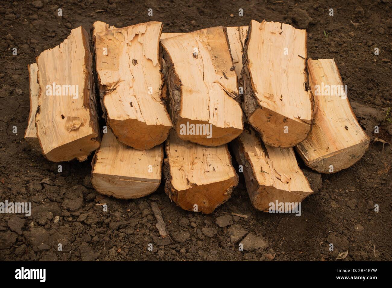 Qualche buon legno per il forno a legna o per il camino Foto Stock