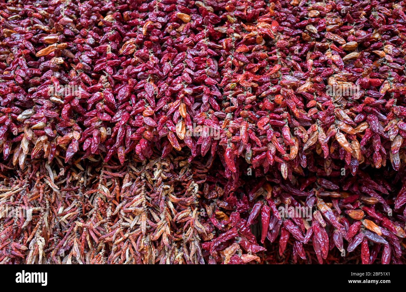 Peperoni secchi nel Mercado dos Lavradores, Funchal, Madeira, Portogallo Foto Stock