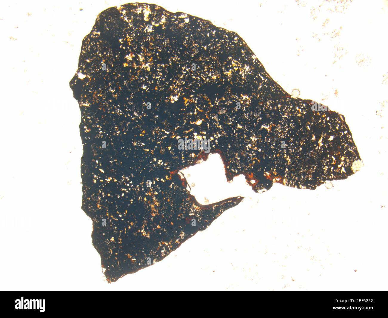 Micrografia del meteorite DOM 08342,2 sotto luce polarizzata in piano con ingrandimento 1,25x. Foto Stock