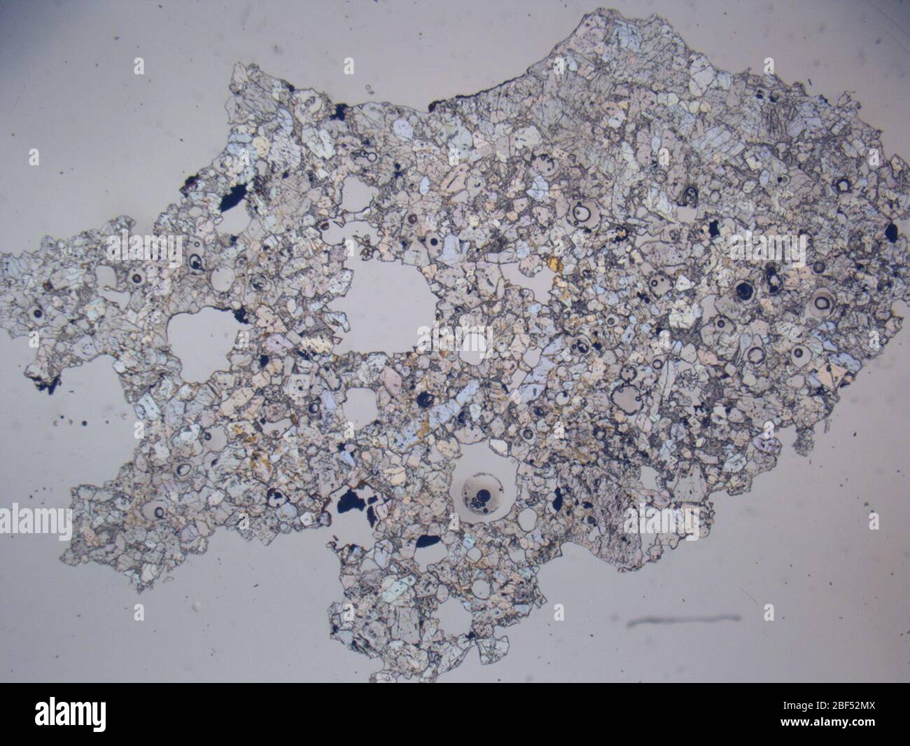 Micrografia del meteorite PAT 91501,27 sotto luce polarizzata in piano con ingrandimento 1,25x. Foto Stock