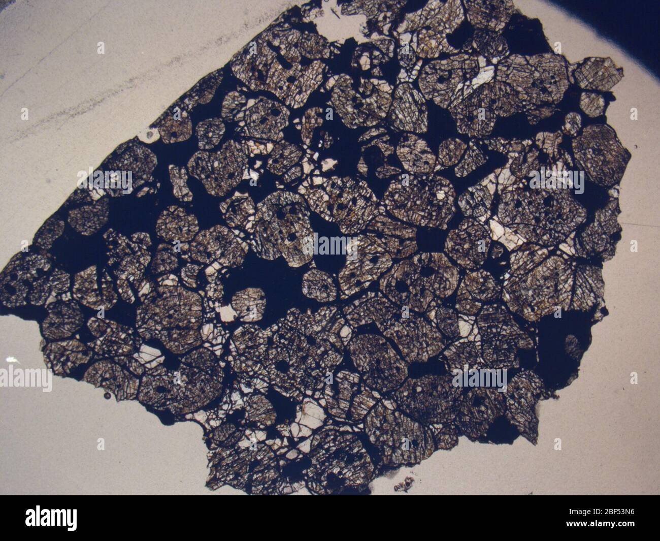 Micrografia del meteorite QUE 97348,2 sotto luce polarizzata in piano con ingrandimento 1,25x. Foto Stock
