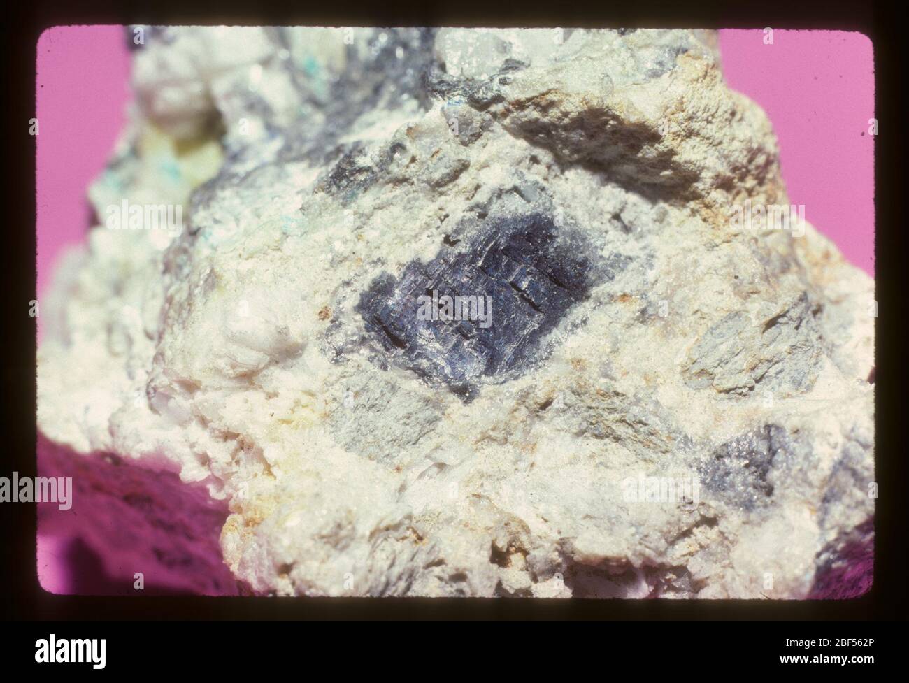 Susannite. 2 Luglio 20161 Foto Stock