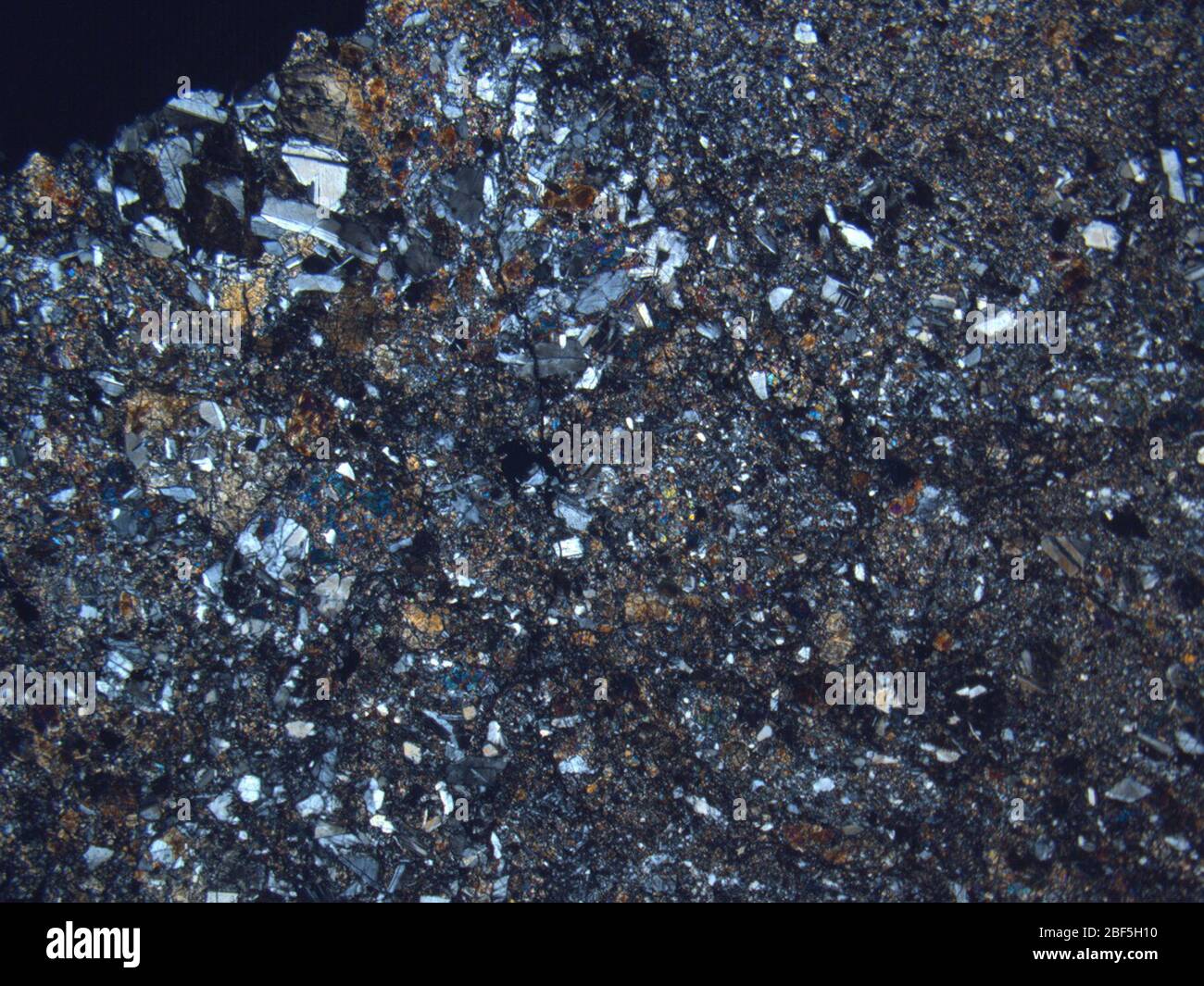 Micrografia di COME 88401,7 meteorite sotto luce cross-polarizzata con ingrandimento 1,25x. Foto Stock