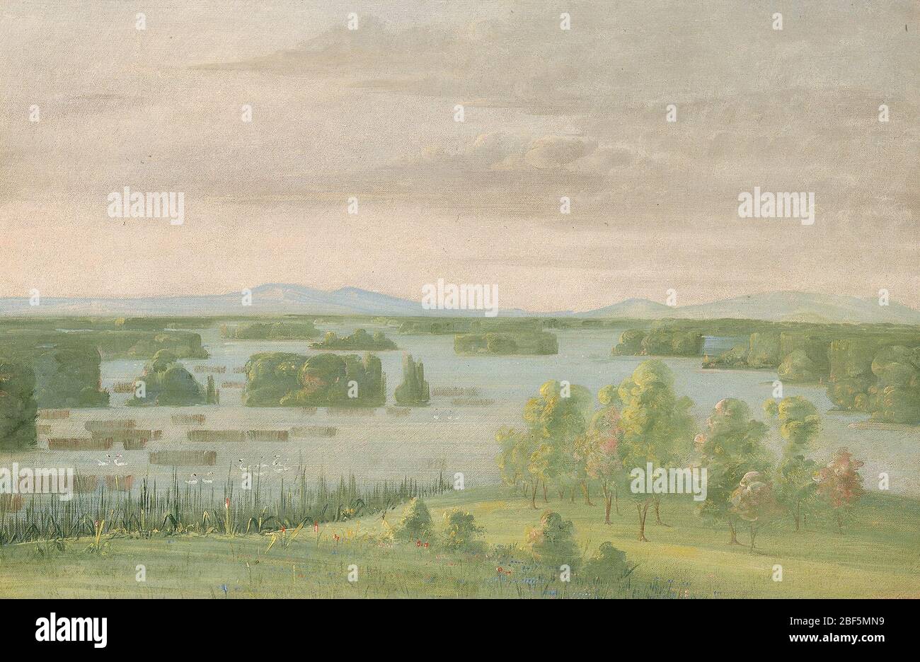 Lago del cigno Lac du Cygne vicino al Coteau des Prairies. "Dopo aver fatto il glutine della nostra curiosità alla fontana della Red Pipe, i nostri cavalli ci hanno portato alla base del Coteau, e poi sopra la estesa pianura che si trova tra quella e la Traverse de Sioux, sul San Pietro.. Foto Stock