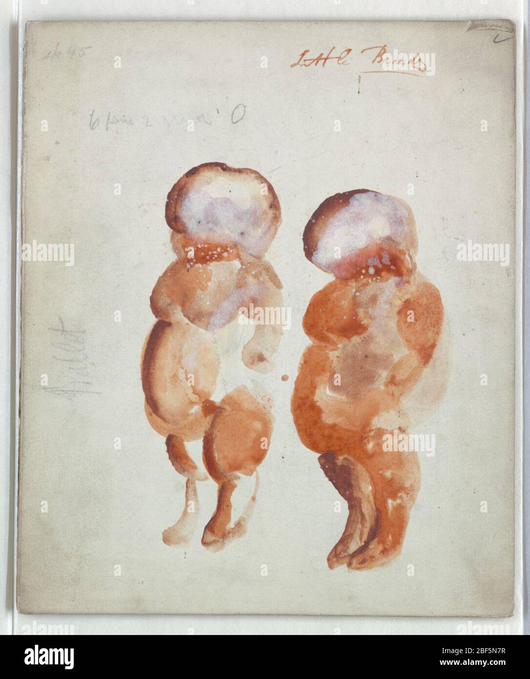 Costume disegno No 135 due pani piccoli per uccello blu. Foto Stock