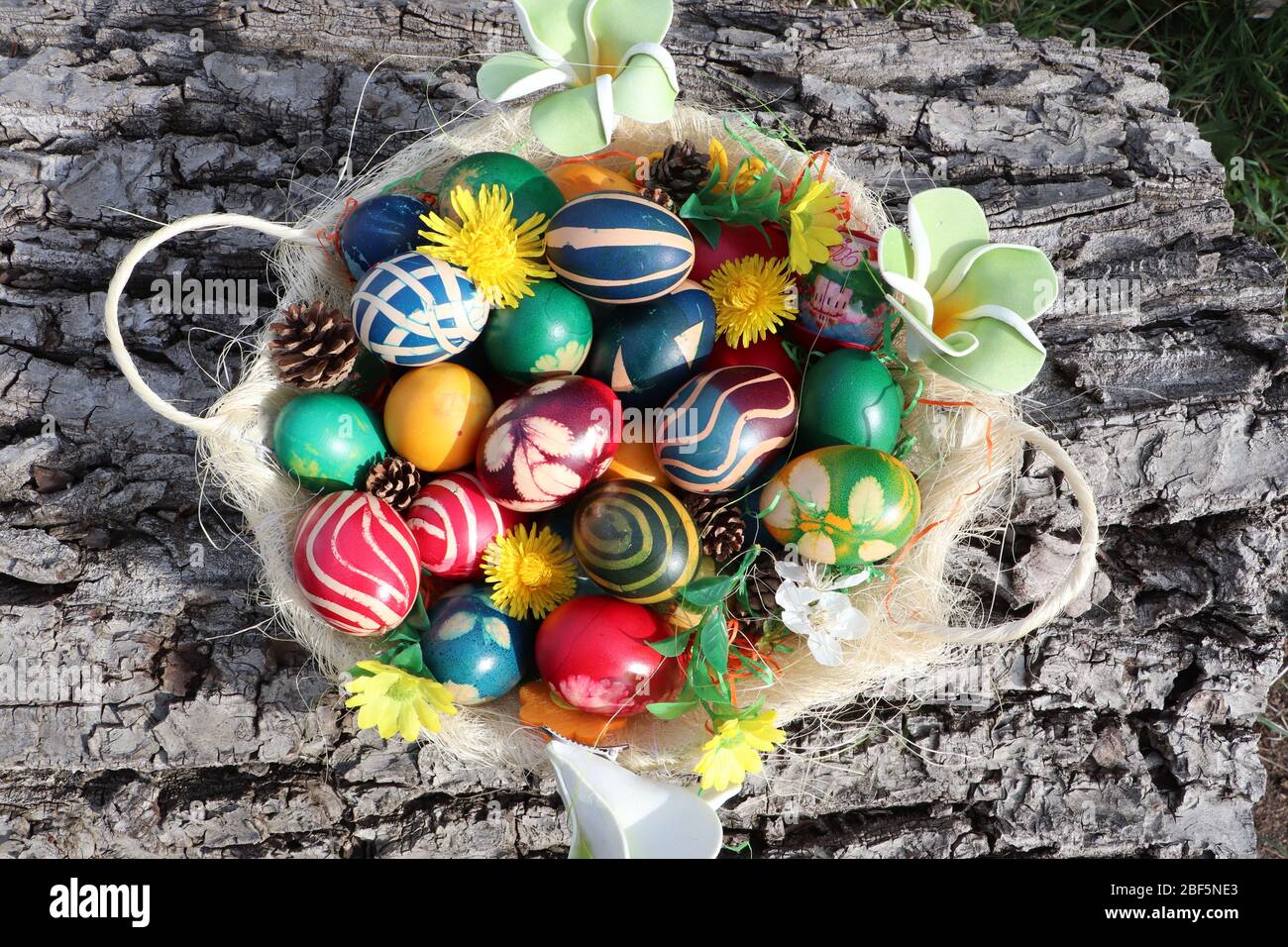 Cesto di uova di Pasqua con uova dipinte colorate decorate con fiori su sfondo corteccia di noce Foto Stock