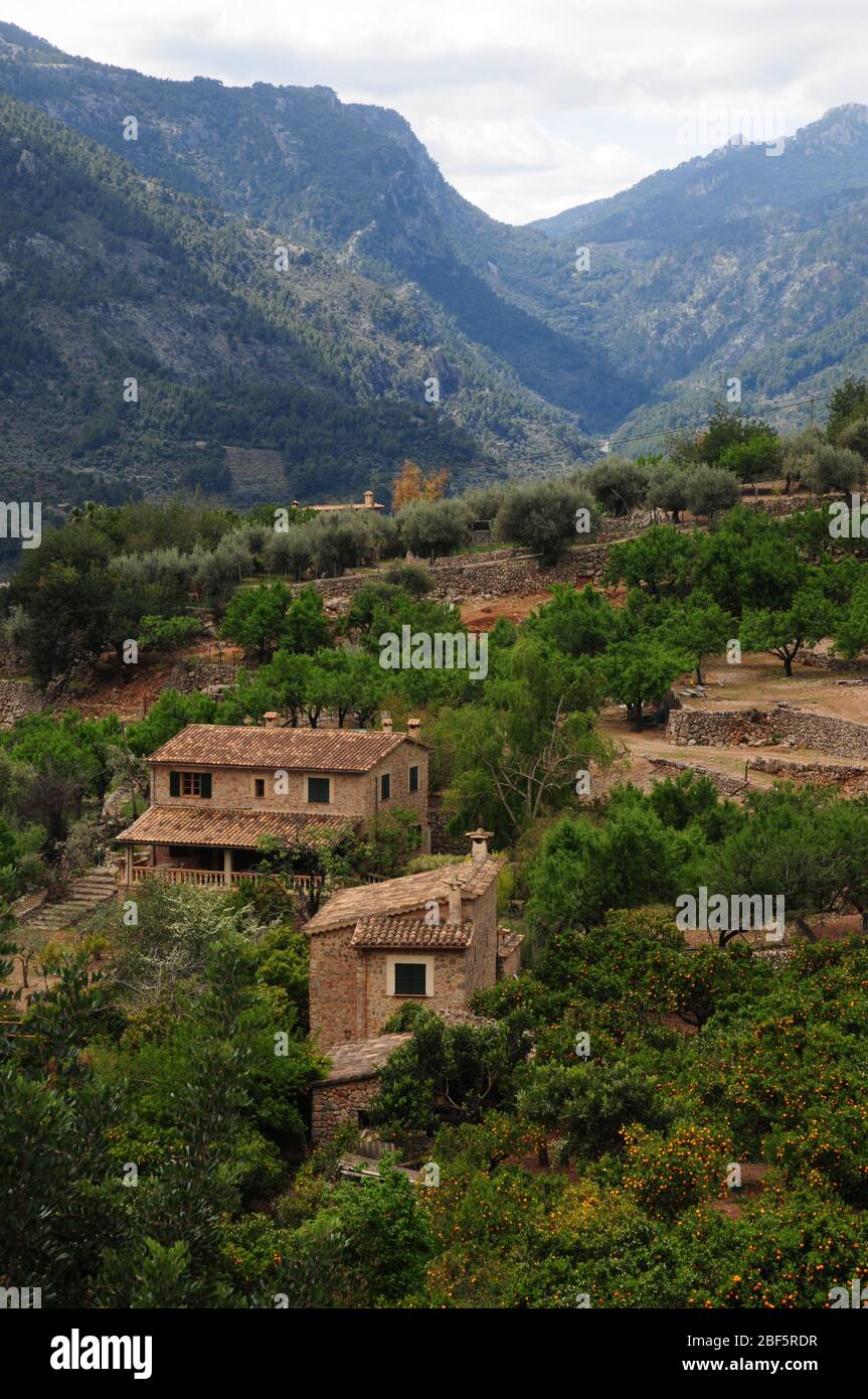 L'agricoltura nella valle di Soller, a Maiorca, è prevalentemente agrumata e olivi, con ampie terrazze. Foto Stock