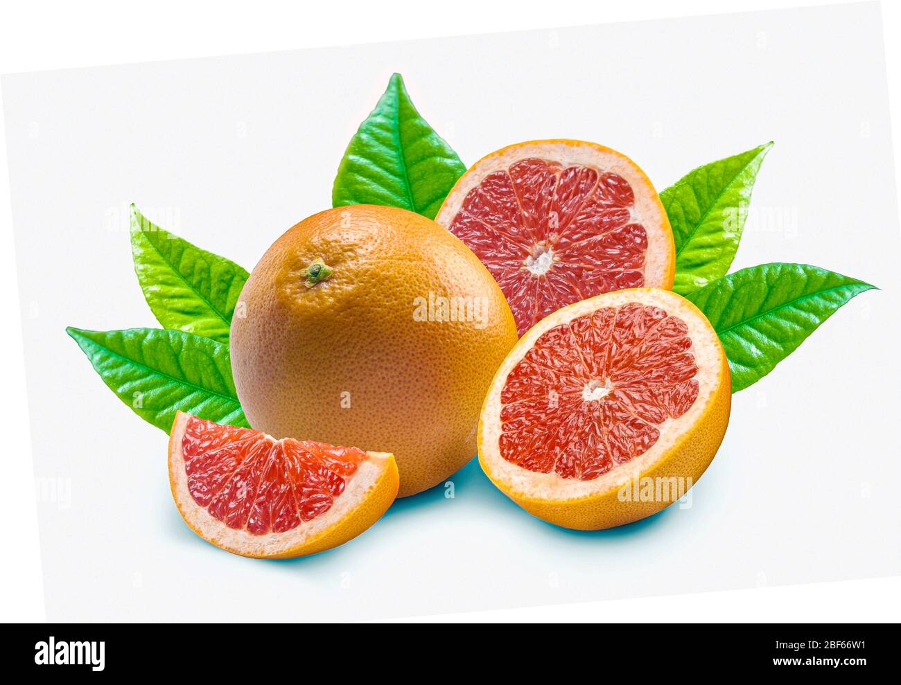 Fetta di pompelmo con foglie isolati su sfondo bianco Foto Stock
