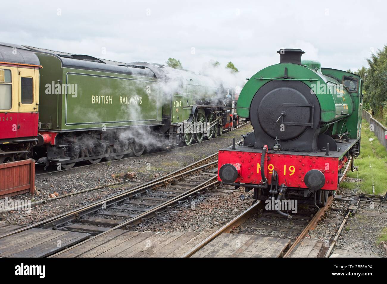 Nuovo-costruire il luogo del vapore, 60163 Tornado, e saddletank No.19 alla ferrovia di Bo'ness e Kinneil Heritage, Lothian occidentale, Scozia, Regno Unito. Foto Stock