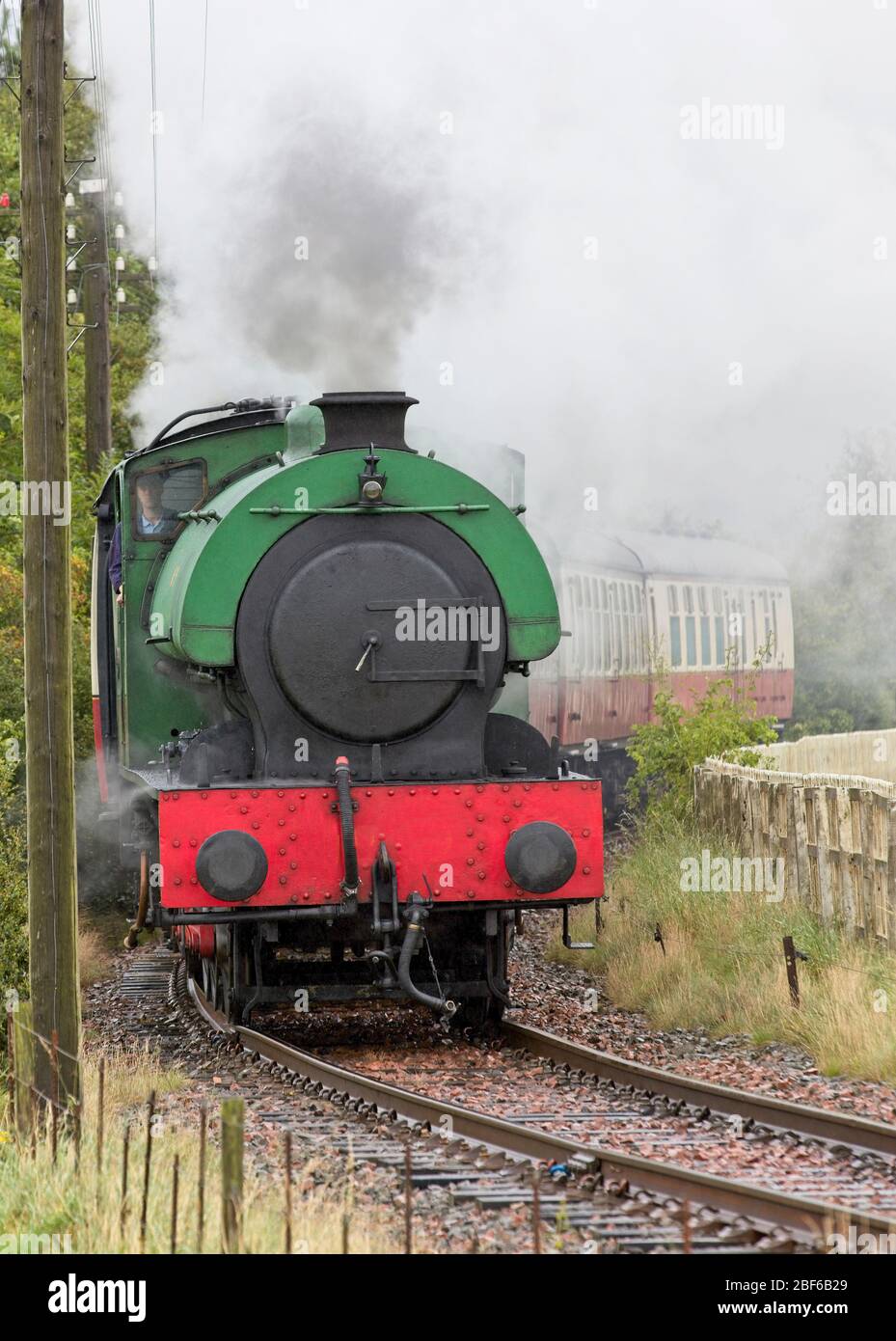 Un motore a vapore saddletank che traina carri su una linea ferroviaria storica. Foto Stock