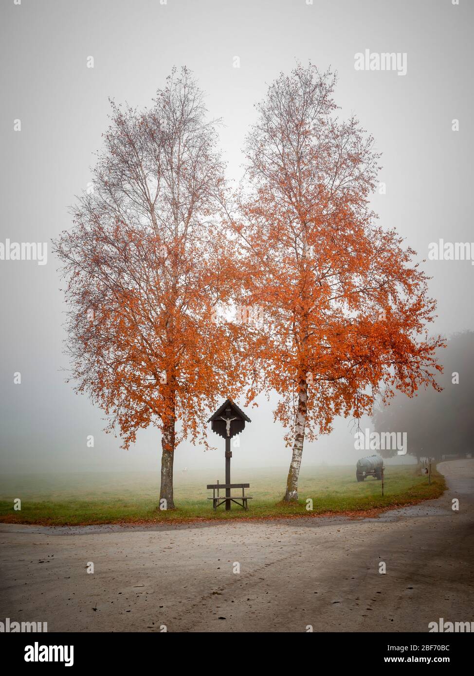 wayside santuario tra due birches in autunno nebbioso, Germania, Baviera Foto Stock
