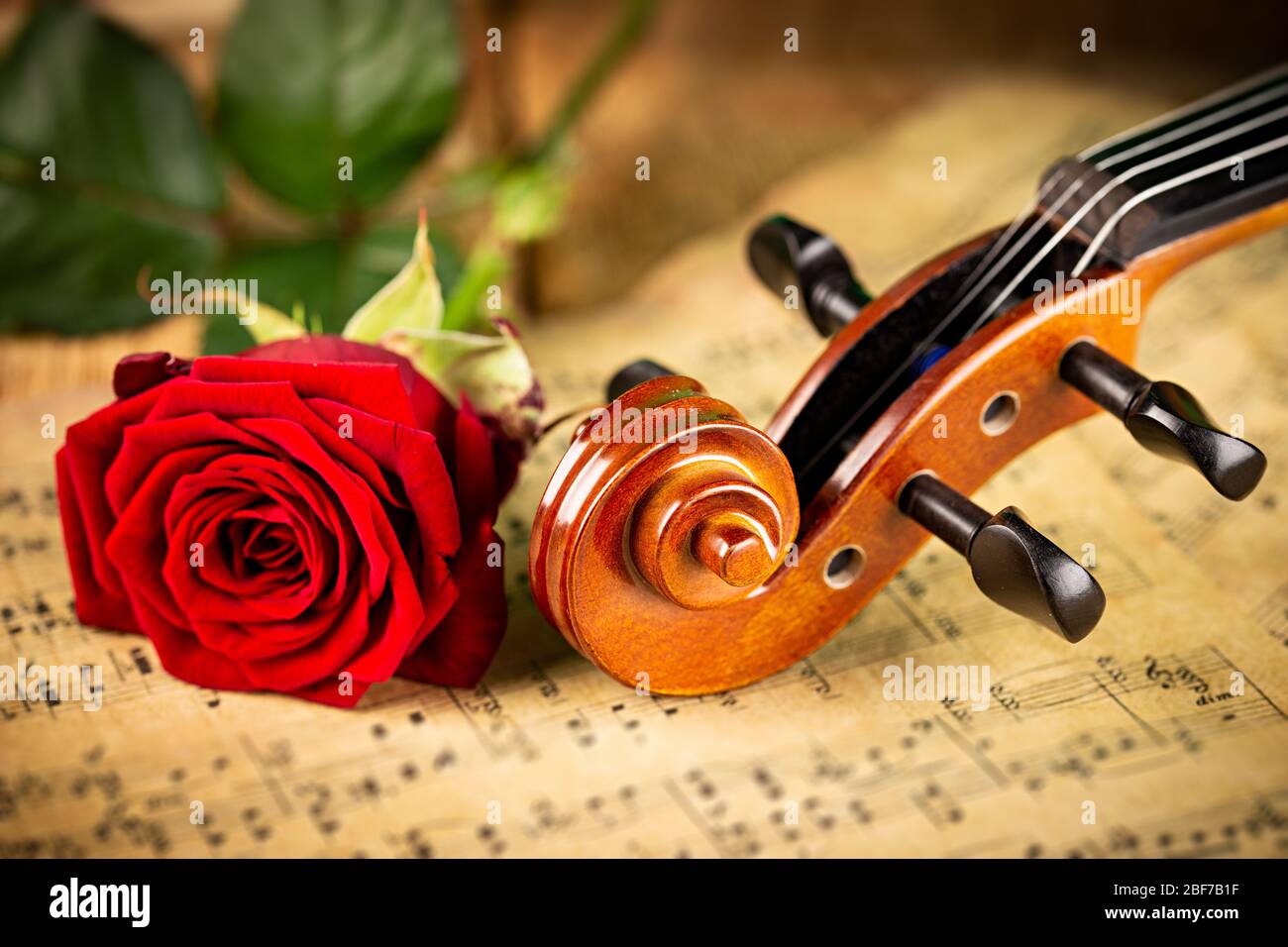 musica classica retrò con violino, strumentazione su carta da note di vecchia musica con fiore rosa rosso su sfondo legno di quercia. musica classica rom Foto Stock