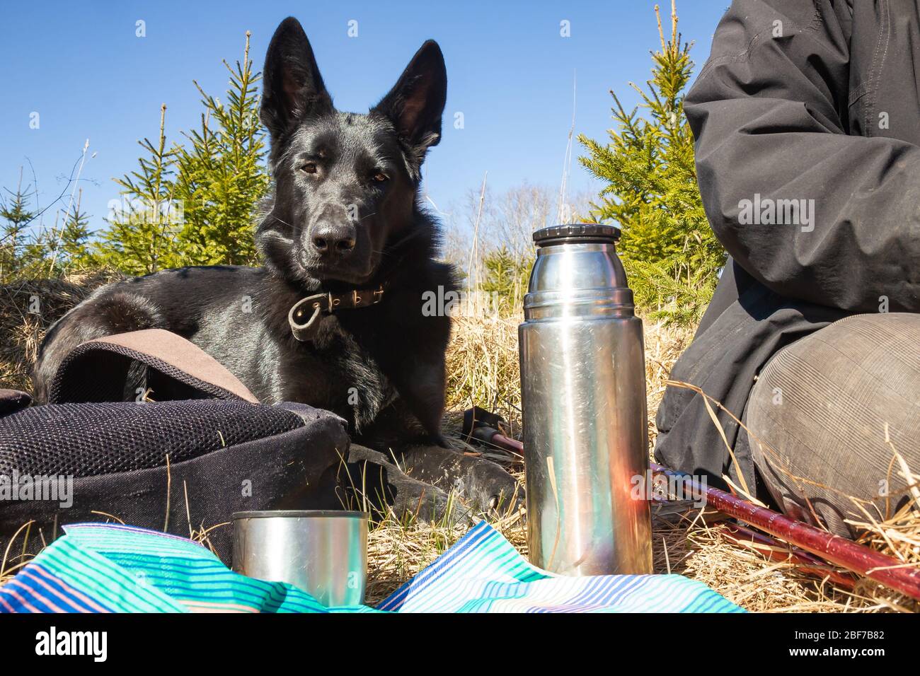 Trekking nella natura con il migliore amico Foto Stock