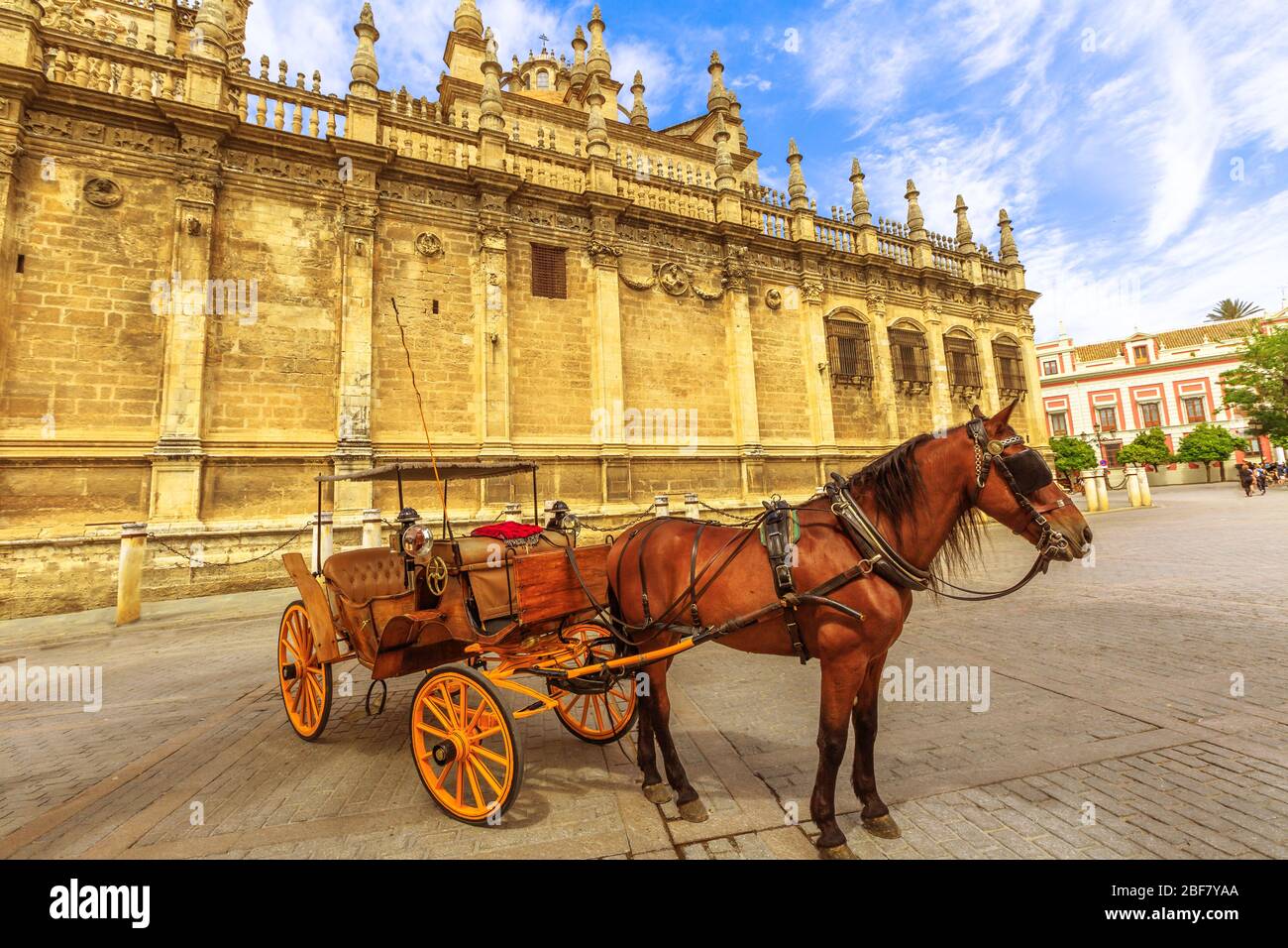 Cavallo spagnolo parcheggiato vicino alla Cattedrale di Siviglia, una cattedrale cattolica romana e la più grande chiesa gotica, è una delle attrazioni turistiche di Foto Stock