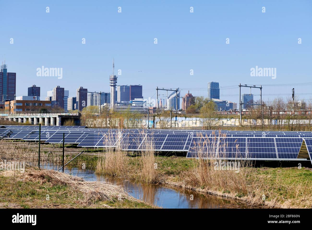 Un campo con pannelli solari con sullo sfondo lo skyline della città olandese l'Aia. Foto Stock