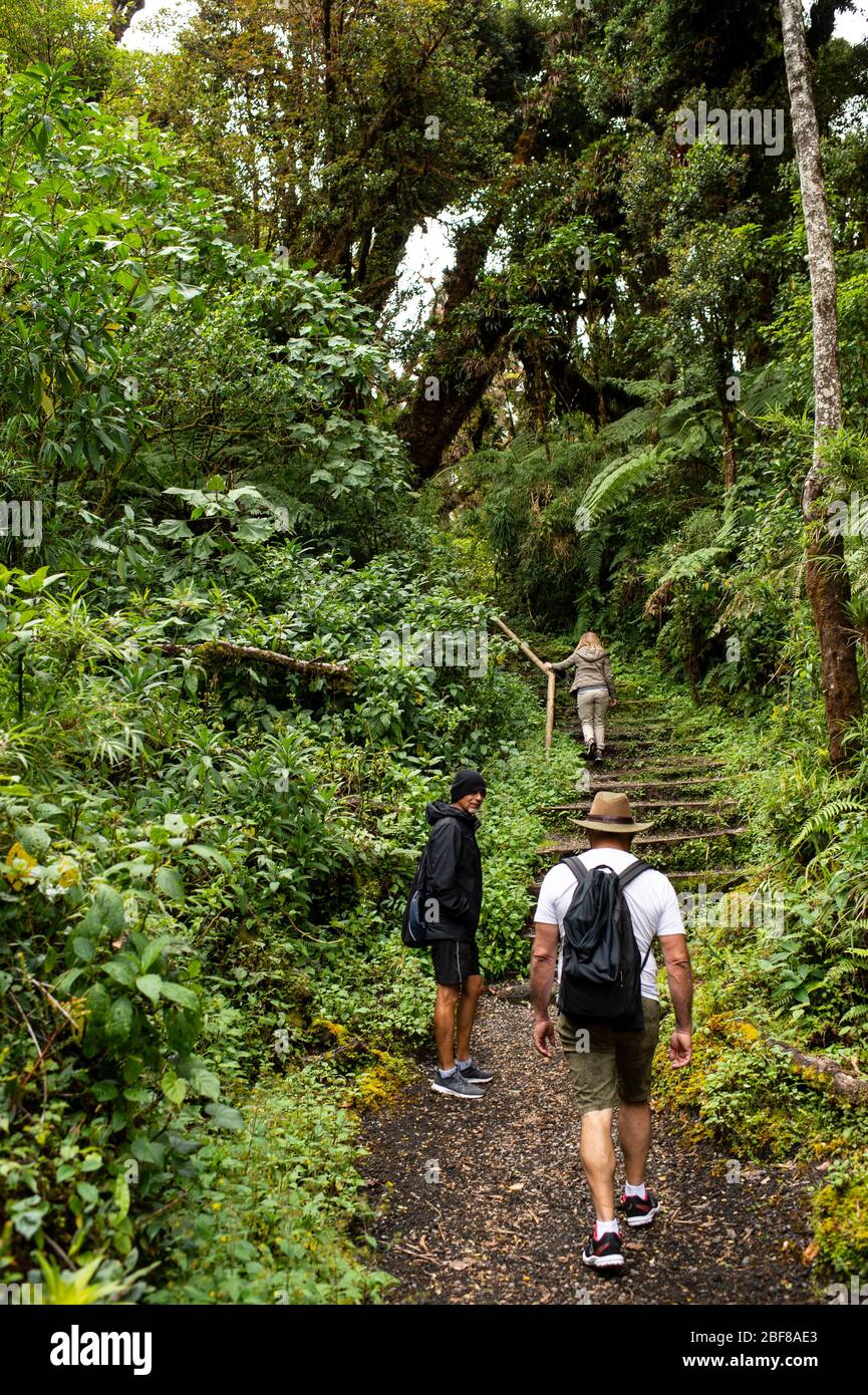 Vulcano Barva, Parco Nazionale Braulio Carrillo, Costa Rica, Centroamerica Foto Stock