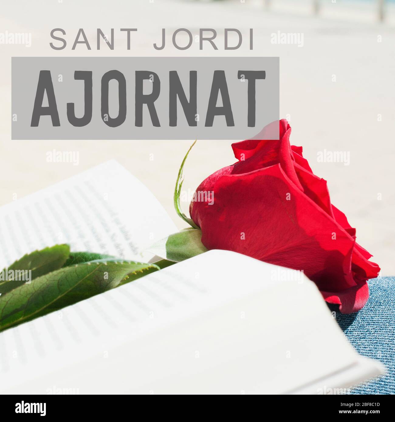 Testo Sant Jordi, rinviato scritto in catalano, per la festa di San Giorgio giorno, quando è tradizione di dare rose rosse e libri in Catalogna, posta Foto Stock