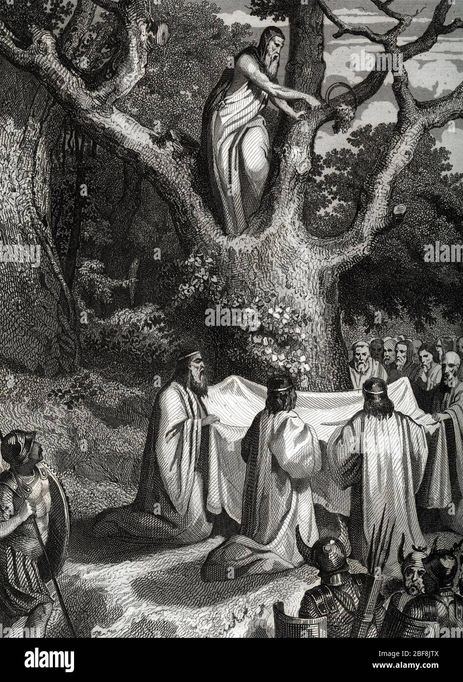 Albero sacro druido immagini e fotografie stock ad alta risoluzione - Alamy