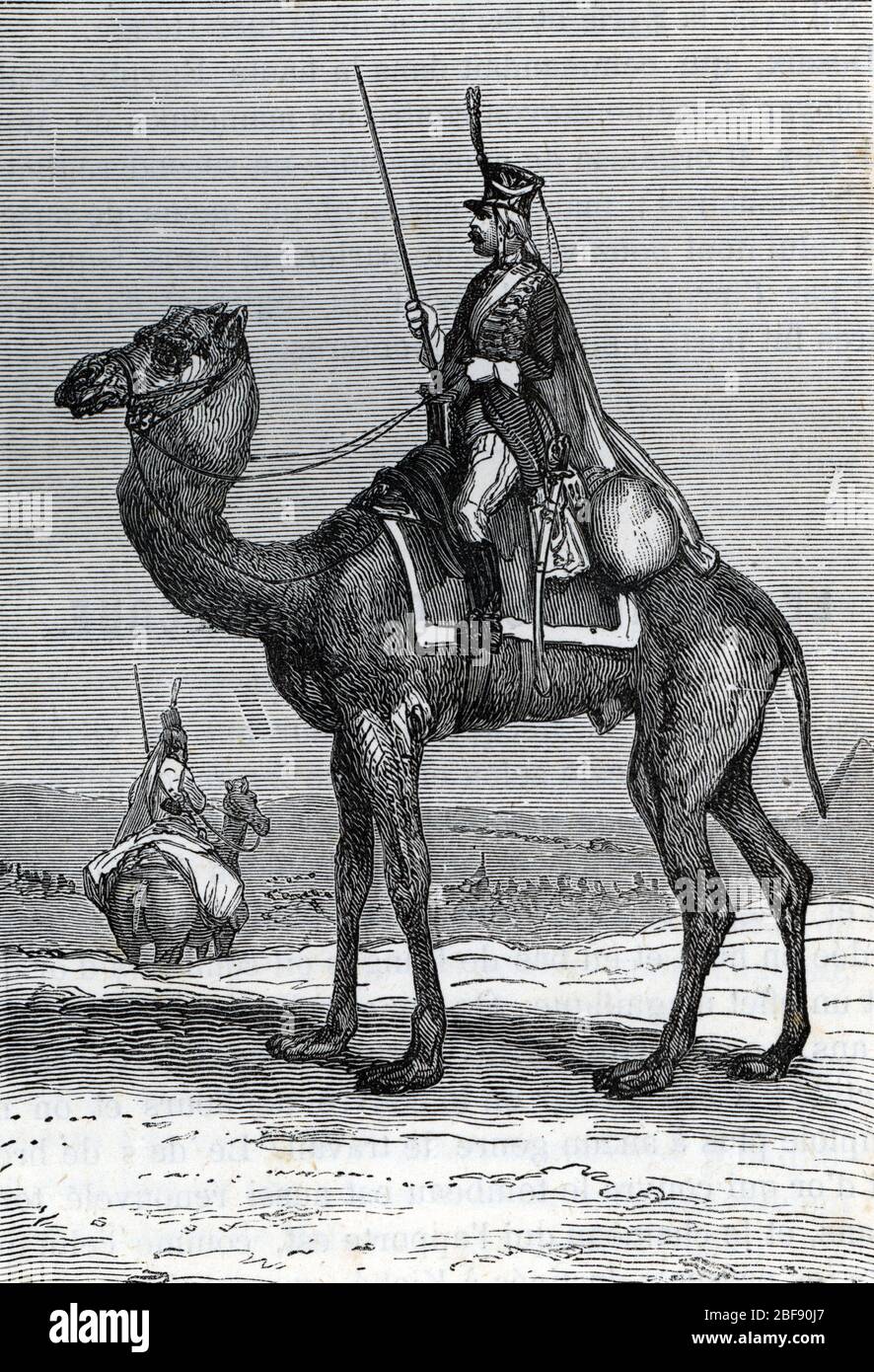 Campagne d' Egypte : Napoleone Bonaparte crea des regiments de dromadaires (Campagna d'Egitto: L'esercito di Napoleone Bonaparte su dromedari) gravure Foto Stock