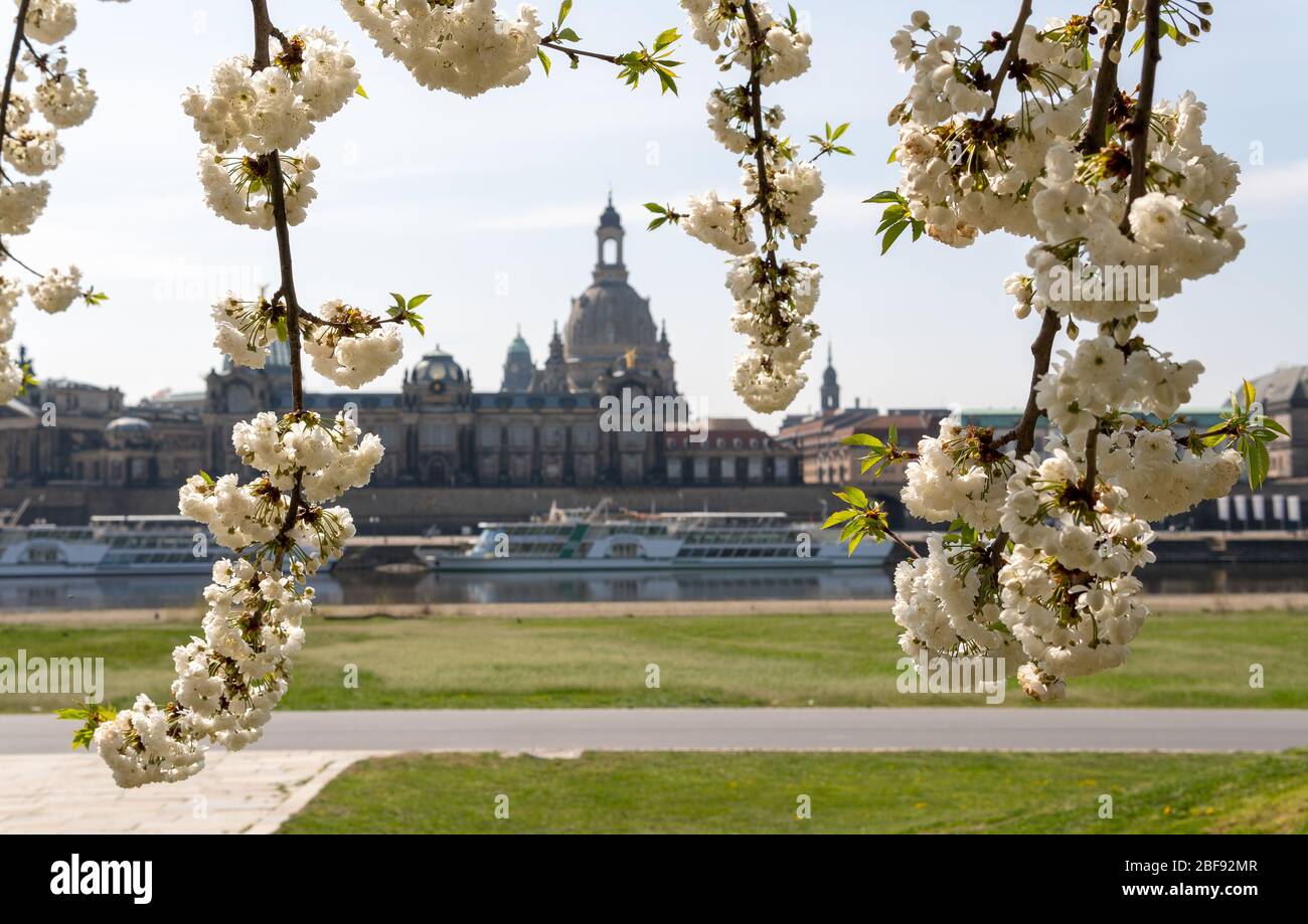 Le vibrazioni primaverili a Dresda, Frauenkirche, sassonia, germania Foto Stock