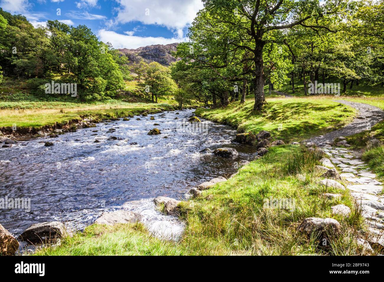Watendlath Beck nel Parco Nazionale del Distretto dei Laghi, Cumbria. Foto Stock