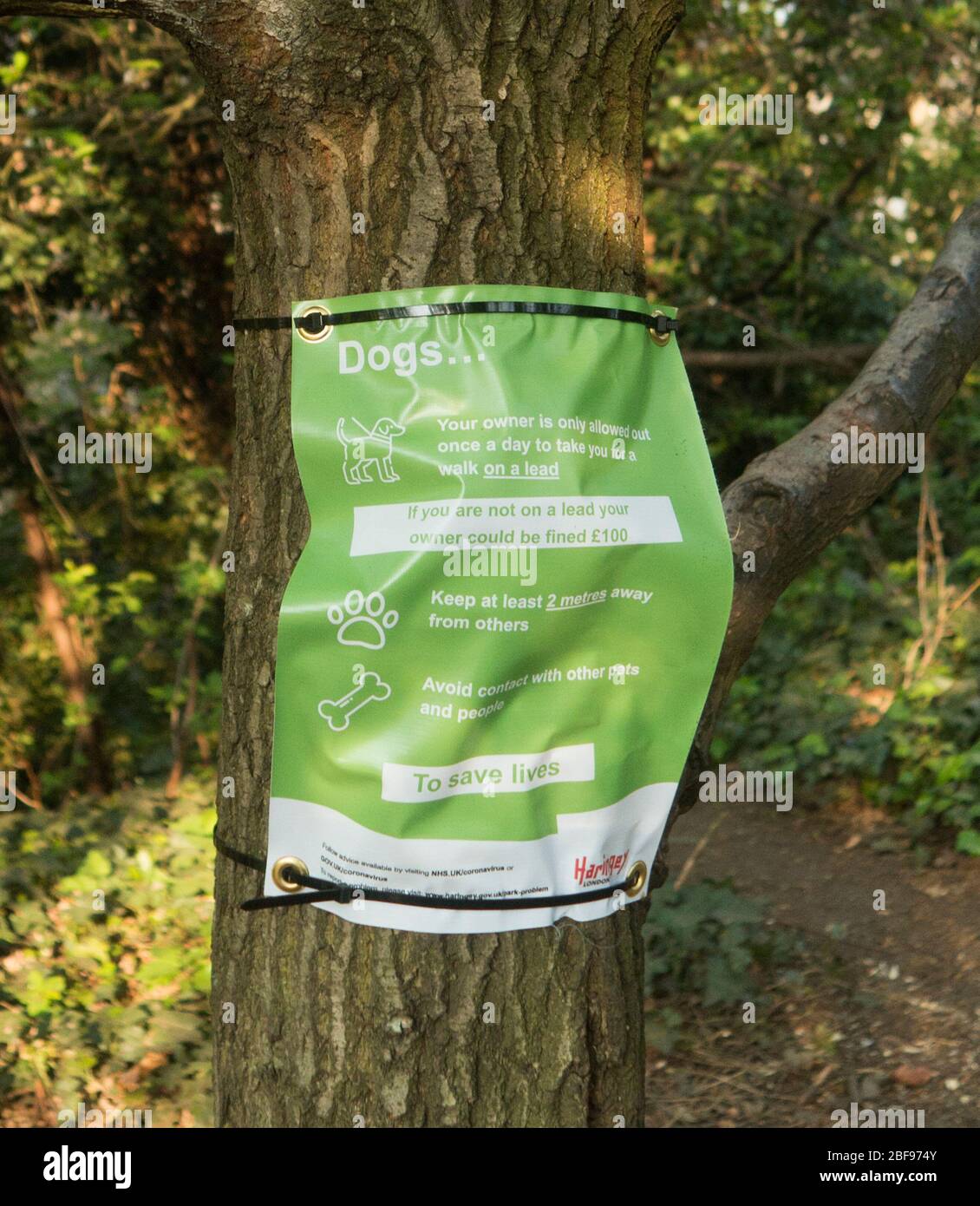 Accedi a North London (Parkland Walk) percorso naturalistico dopo il blocco per combattere Covid 19. Aprile 2020. Foto Stock