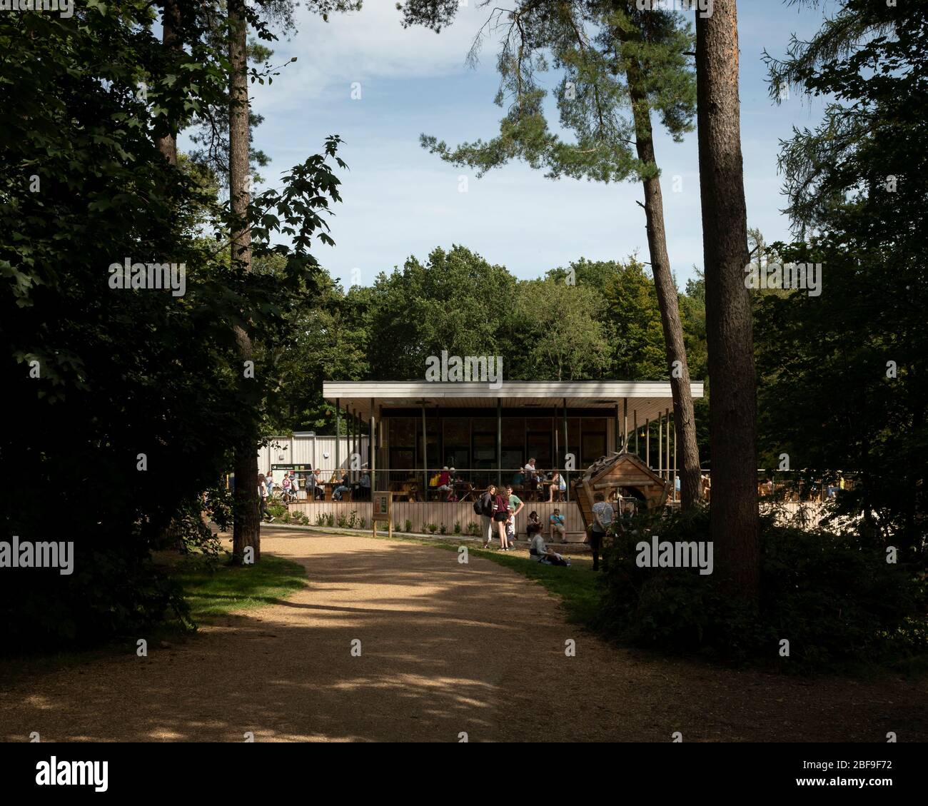 Wendover Woods Visitors Center caffè / terrazza ristorante attraverso gli alberi. Wendover Woods Visitor Centre, Aylesbury, Regno Unito. Architetto: Re-Fo Foto Stock