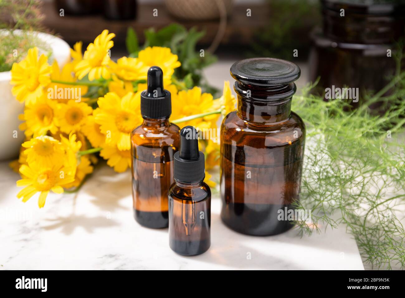 Olio di erbe, olio essenziale, profumo su bottiglie di vetro ambrato. Prodotti naturali per la cura della bellezza Foto Stock